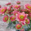 Artificial Spray Chrysanthemums Dusky Pink 69cm - G002 D2 Artificial Spray Chrysanthemums Dusky Pink 69cm - G002 D2
