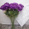 Artificial Flowers Bloom Chrysanthemums Purple 82cm - C259 D4