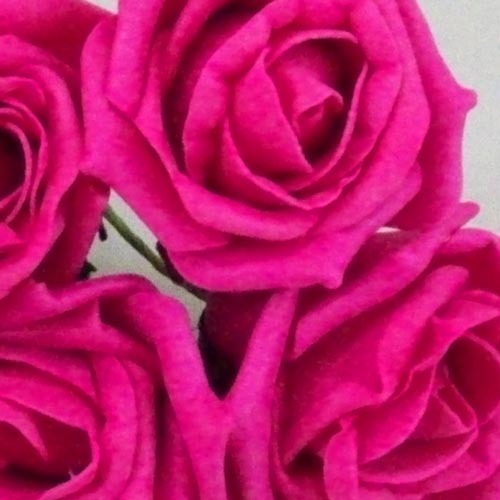 Colourfast Cottage Foam Roses Bundle Hot Pink 6 Pack 24cm - R386 U2