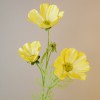 Carousel Cosmos Yellow 64cm - C092 EE1 Carousel Cosmos Yellow 64cm - C092 EE1