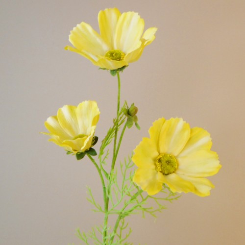 Carousel Cosmos Yellow 64cm - C092 EE1 Carousel Cosmos Yellow 64cm - C092 EE1