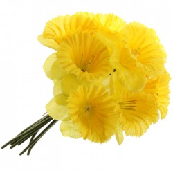 Artificial Daffodils Bundle 9 Stems 33cm - D018 C1