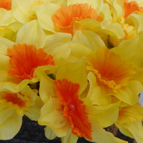 Mini Two Tone Daffodil Bunch 19cm - D021 D3