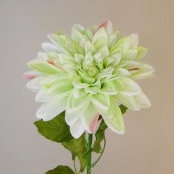 Calypso Artificial Dahlias Green 70cm - D069 F4