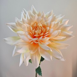 Large Dahlia Peach 98cm - C101 BB4