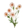 Silk Daisies | Artificial Daisy Pale Pink 75cm - D091 D1