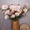 Silk Daisies | Artificial Daisy Pale Pink 75cm - D091 D1