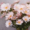 Silk Daisies | Artificial Daisy Pale Pink 75cm - D091 D1