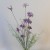 English Meadow Artificial Flowers Purple Daisies 57cm - M009 BX7