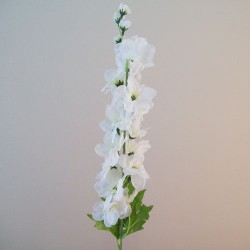 Cream Silk Delphiniums or Larkspur 78cm - D222 C2