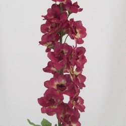 Plum Silk Delphinium or Larkspur 75cm - D024 E2