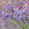 Artificial Meadow Delphiniums Blue Purple Flowers 76cm - D154 D4