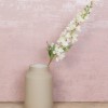 Luxury Ivory Silk Delphinium or Larkspur 72cm - D034 D3