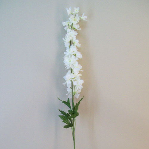 Cream Silk Delphiniums or Larkspur 90cm - D112 B4