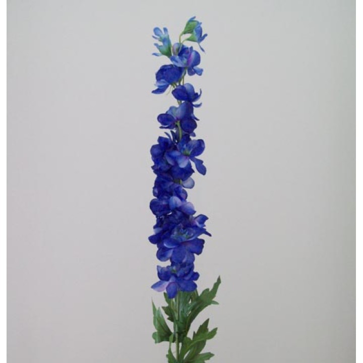 Delphiniums Delphiniums