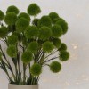 Artificial Trick Dianthus Spray Green 64cm - D085 D2