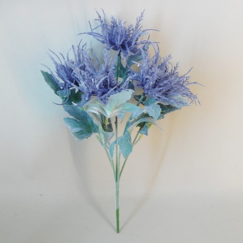 Wild Sea Holly Thistles Plant Blue 35cm - E008 CC1