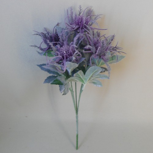 Wild Sea Holly Thistles Plant Purple 35cm - E011 CC1 Wild Sea Holly Thistles Plant Purple 35cm - E011 CC1