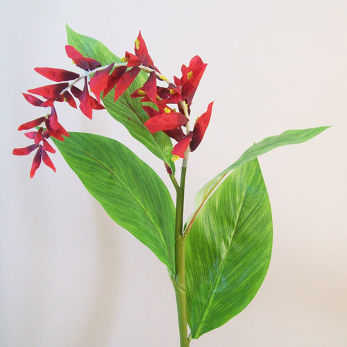 Ginger Flowers Red 70cm  - G027 C4