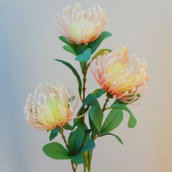 Rydal Artificial Leucospermum Protea Peach 82cm - L046 AA3