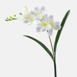 Freesias Stem Cream 56cm - F021 COMING SOON