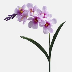 Freesias Stem Lilac 56cm - F028 COMING SOON