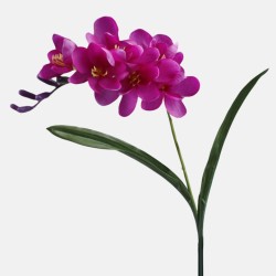 Freesias Stem Magenta Pink 56cm - F029 COMING SOON