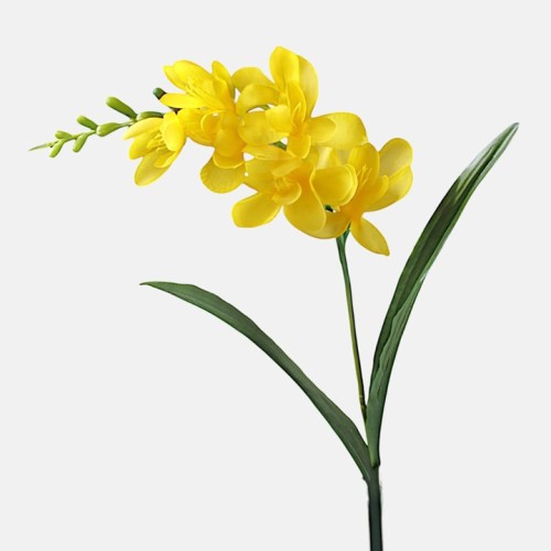 Freesias Stem Yellow 56cm - F031 COMING SOON