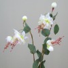 Silk Double Fuchsia Stem Ivory 50cm - F026 H3