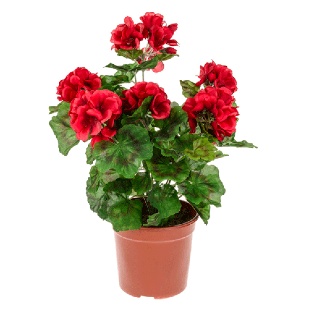 Potted Plants Artificial Geraniums Red