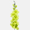 Artificial Gladiola Lime Green 79cm - G015 HH4