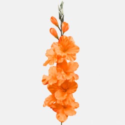 Artificial Gladiola Orange 79cm - G014