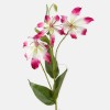 Artificial Gloriosa Flame Lily Pink and White 80cm - G012 E1