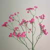 Artificial Gypsophila | Pink Baby's Breath 62cm - G017 J4