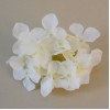 Artificial Hydrangeas Ivory Heads Only 11cm - H063 Artificial Hydrangeas Ivory Heads Only 11cm - H063