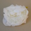 Artificial Peony Cream Heads Only 10cm - P283 P1