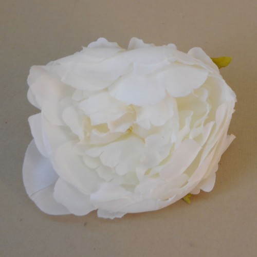 Artificial Peony Cream Heads Only 10cm - P283 P1