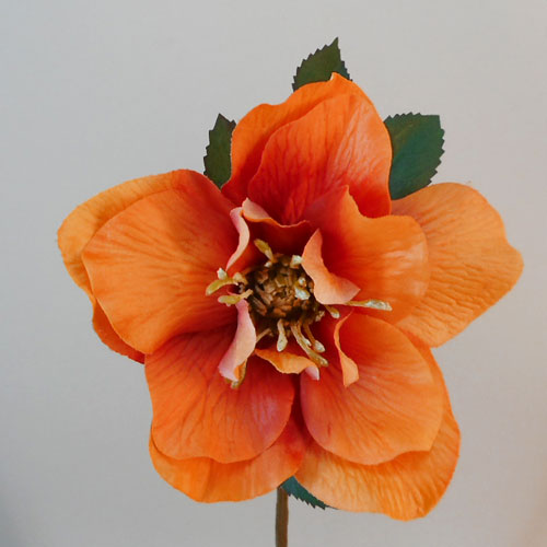 Artificial Hellebore Stem Orange 49cm - H187