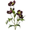 Artificial Helleborus Christmas Roses Burgundy 55cm - H132 T3 Artificial Helleborus Christmas Roses Burgundy 55cm - H132 T3