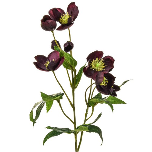 Artificial Helleborus Christmas Roses Burgundy 55cm - H132 T3 Artificial Helleborus Christmas Roses Burgundy 55cm - H132 T3