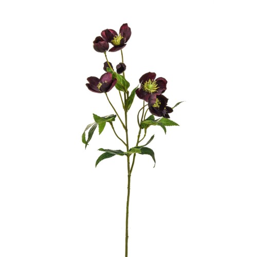 Artificial Helleborus Christmas Roses Burgundy 55cm - H132 T3 Artificial Helleborus Christmas Roses Burgundy 55cm - H132 T3