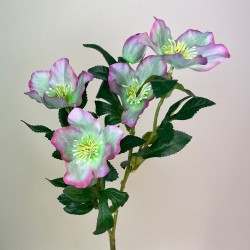 Artificial Hellebores Stem Pink and Green 65cm - H110 G2