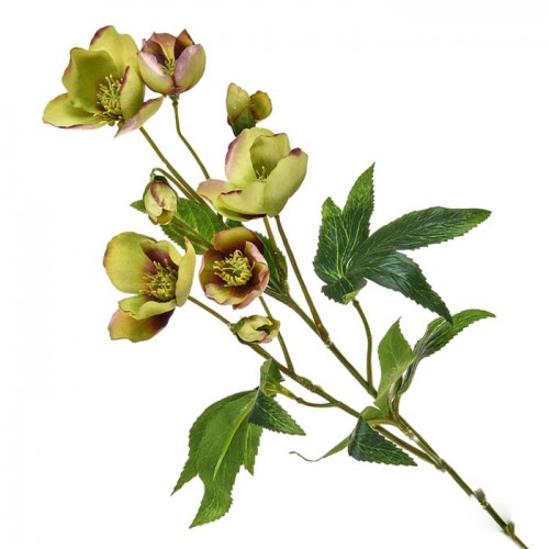 Artificial Helleborus Christmas Roses Green Burgundy - H060 