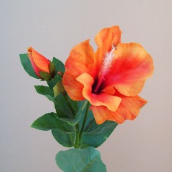 Artificial Hibiscus Flower and Bud Orange 62cm - H049 H1