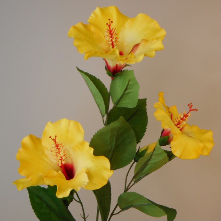 Yellow Flowers Yellow Flowers