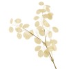 Artificial Honesty Stem Cream 78cm - HON001 S4