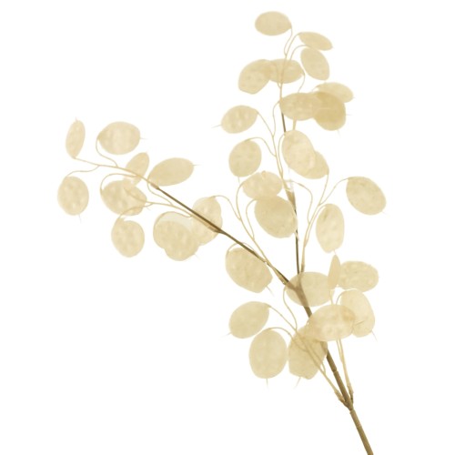 Artificial Honesty Stem Cream 78cm - HON001 S4