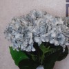 Artificial Hydrangeas Duck Egg Blue 68cm - H125 E1