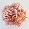 Artificial Hydrangeas Bundle Blush Peach 28cm - H142 B1