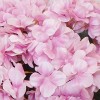 Fleur Artificial Hydrangeas Pink 68cm - H040 FF4
